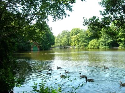 Hartsholme Park Lincoln